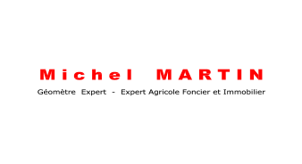 michel-martin.png